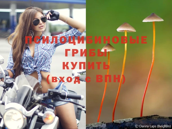 дмт Беломорск