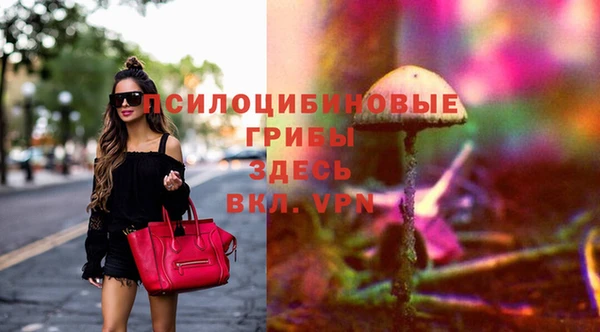 дмт Беломорск