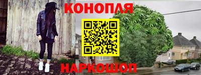дживик Камышлов