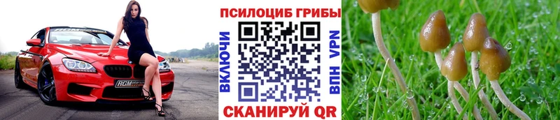 хочу наркоту  Кунгур  Галлюциногенные грибы Magic Shrooms 